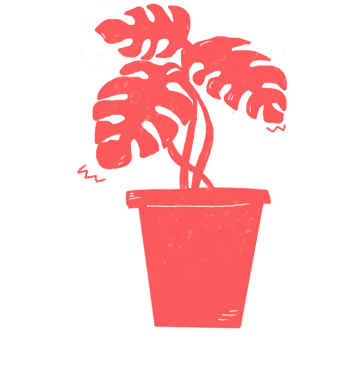 Illustration d'une plante en pot orange